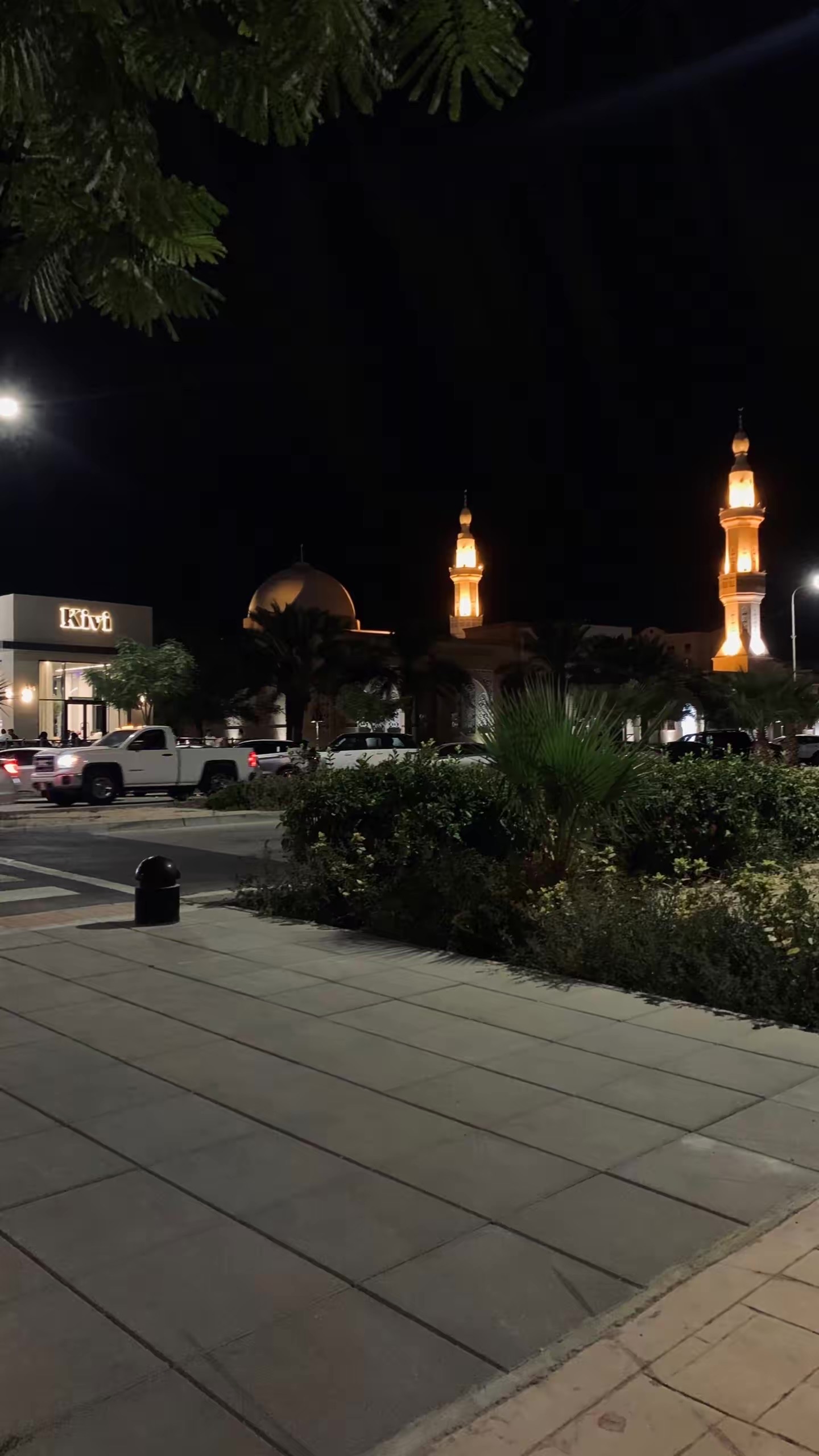 البندري