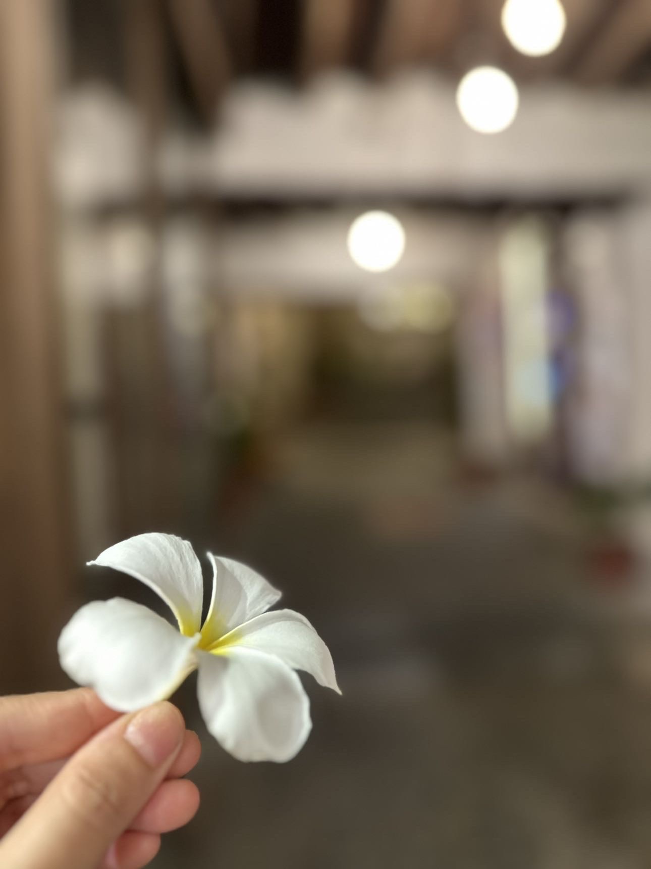 عيوش