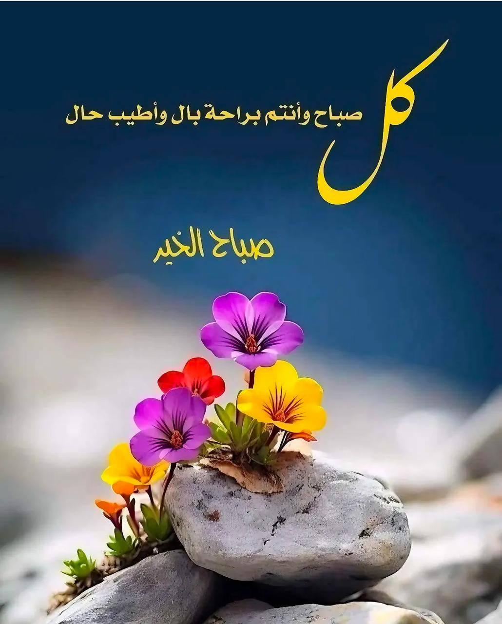 ابو محمد