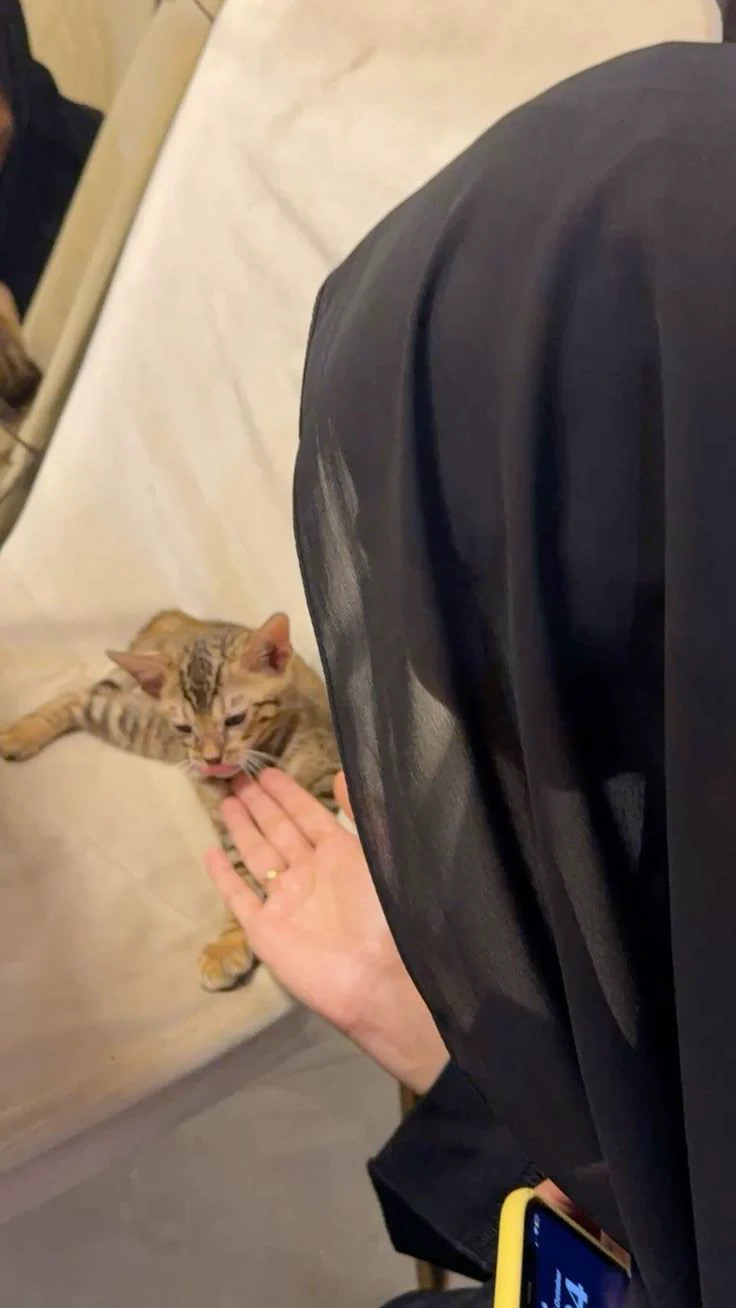 ليلى الهلالي