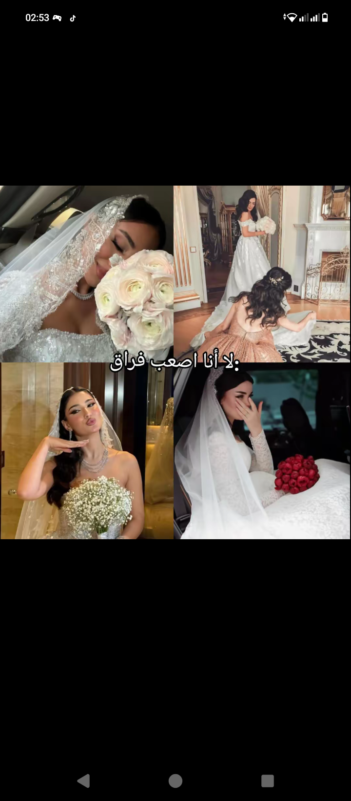 حفصه