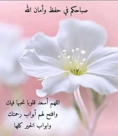 امين