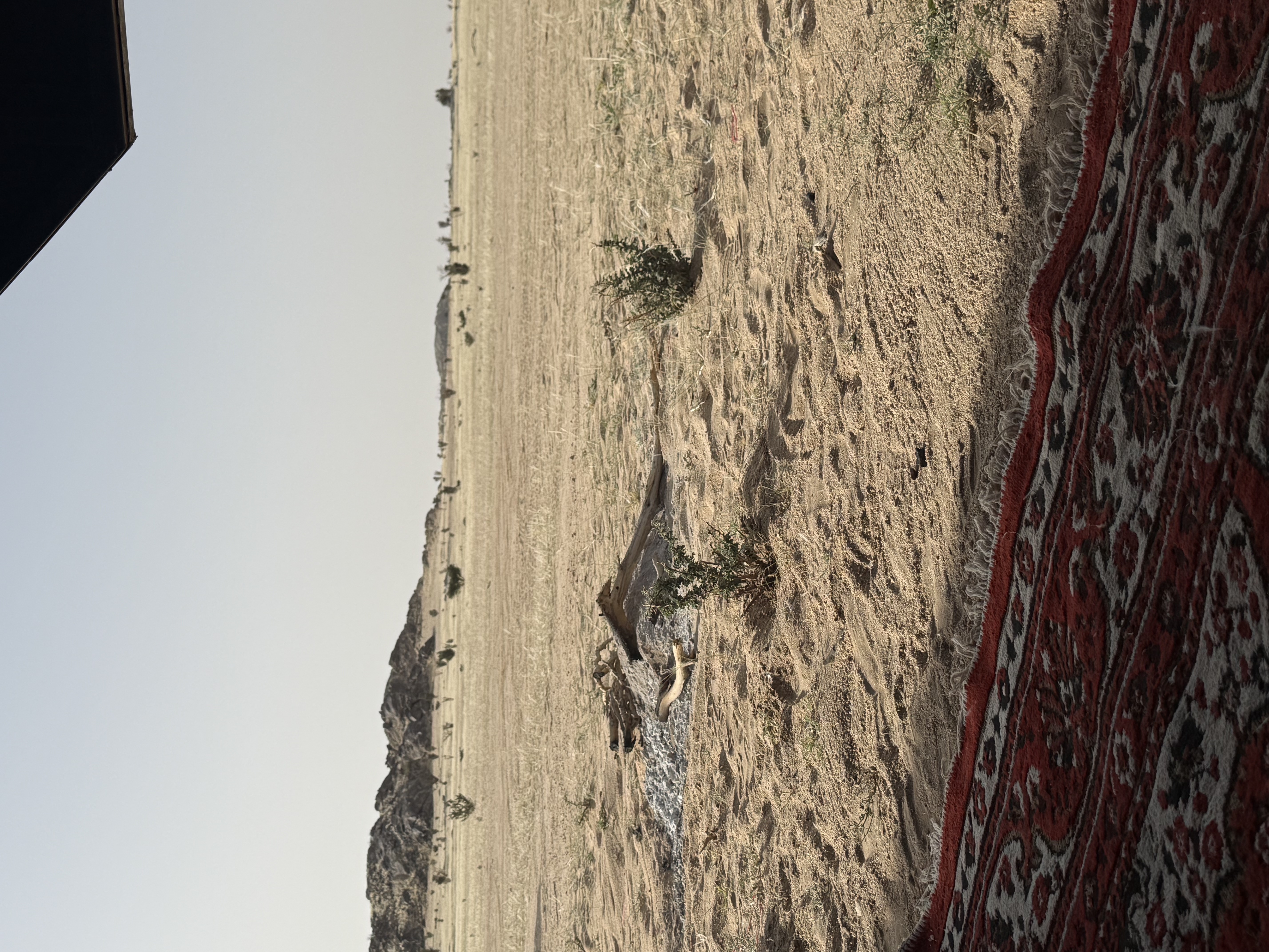 فهاد