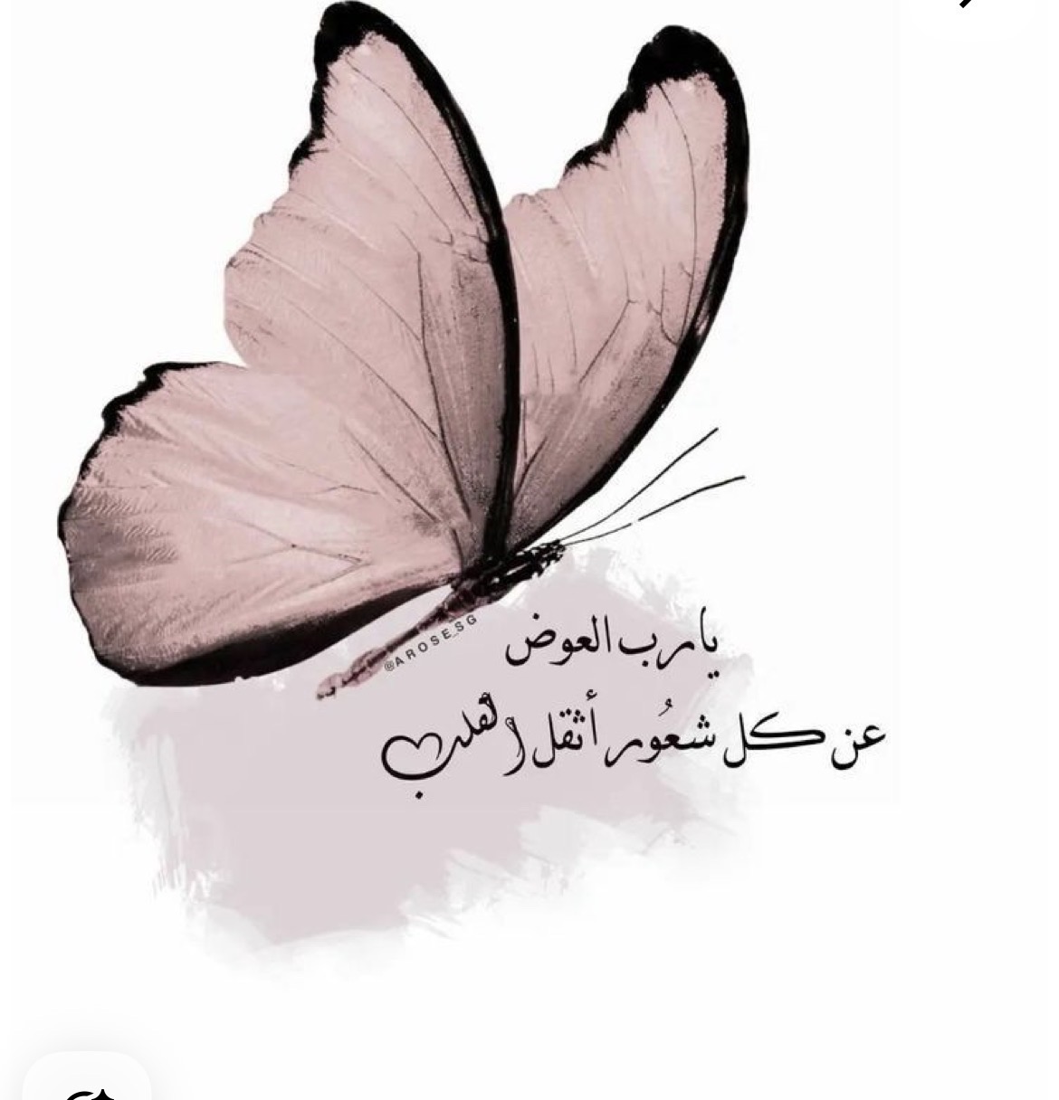 ورد
