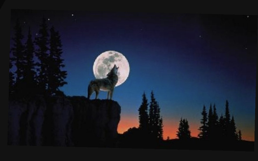 Moohamd